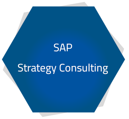 A blue Hexagon on which stands "SAP Strategy Consulting"